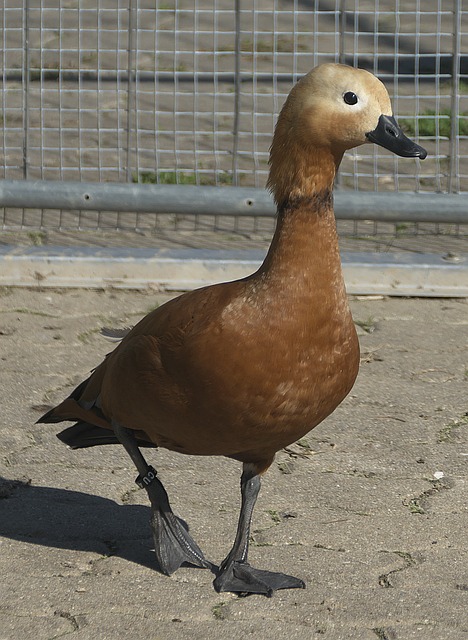 仿佛都在诉